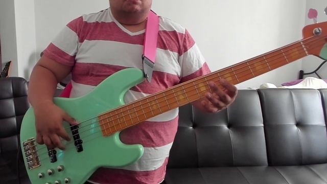 Feels So Good Bass Cover смотреть онлайн