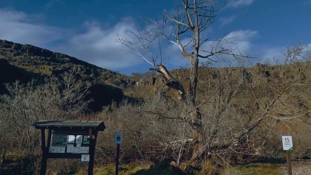 CB7| 1991 Honda accord #cb7 #clickbait смотреть онлайн