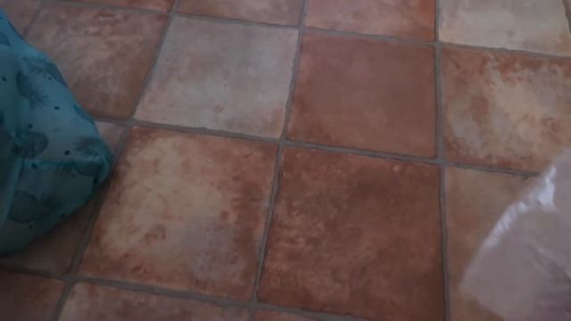 VLOG: МЫСЛИ ВСЛУХ/ Готовим Тирамису/ Судьба дерева/ Большая закупка