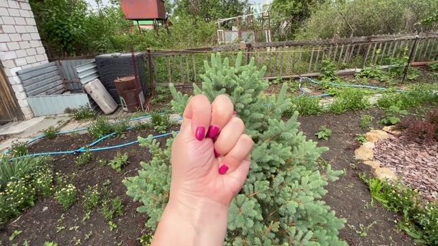 Муж накосячил и не признаётся! Как мы "отдыхаем" на нашей даче смотреть онлайн