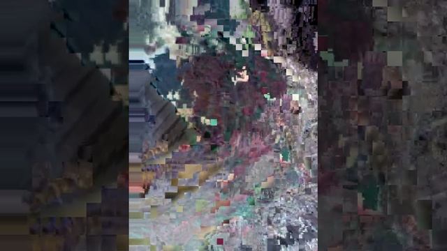 Чучаи кавг(1) смотреть онлайн