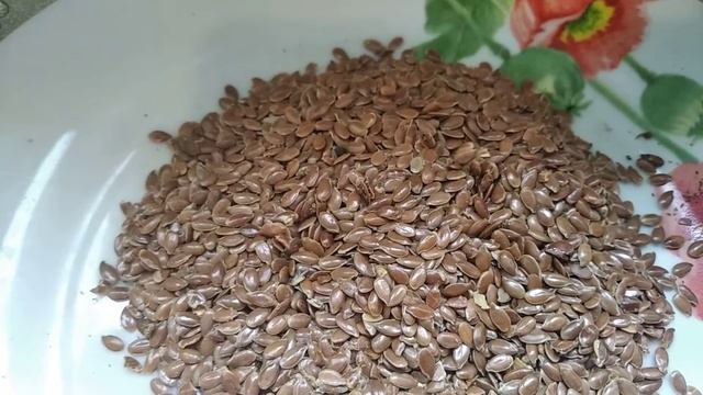 Готовим вкусную кабачковую икру, пошаговый рецепт смотреть онлайн