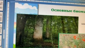 Биом. 11 класс