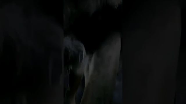 5 апреля 2024 г. смотреть онлайн