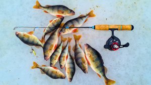 РАБОЧИЙ БАЛАНСИР НА ОКУНЯ! Рыбалка на балансир! Рыбалка на жерлицы!