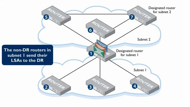 An OSPF router that is Designated Router on one subnet, but not on another. смотреть онлайн