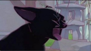 Блэк Кити в Биг Сити