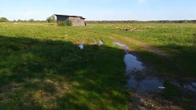 УРА!!! 17 мая 2021 года у нас начался ВЗЯТОК! смотреть онлайн