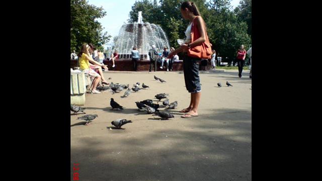 Природа родного края