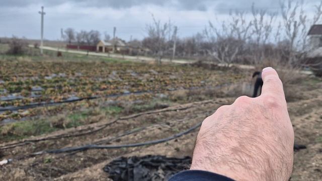 Кринички Садовая 24 1в смотреть онлайн