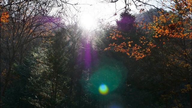 English Folksongs and Lute : Go from my window смотреть онлайн