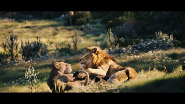 Can You Feel The Love Tonight (The Lion King) - Elton John | amazing cover by Ak:in смотреть онлайн