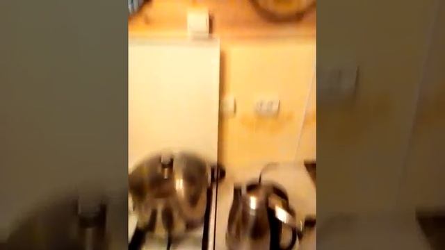 Жаныбек кашат смотреть онлайн