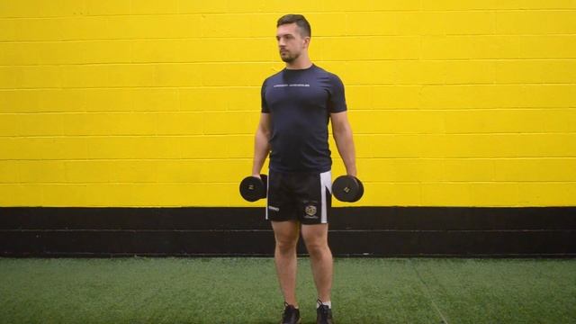 Dumbbell Front Raise Demo - Highlander Performance смотреть онлайн