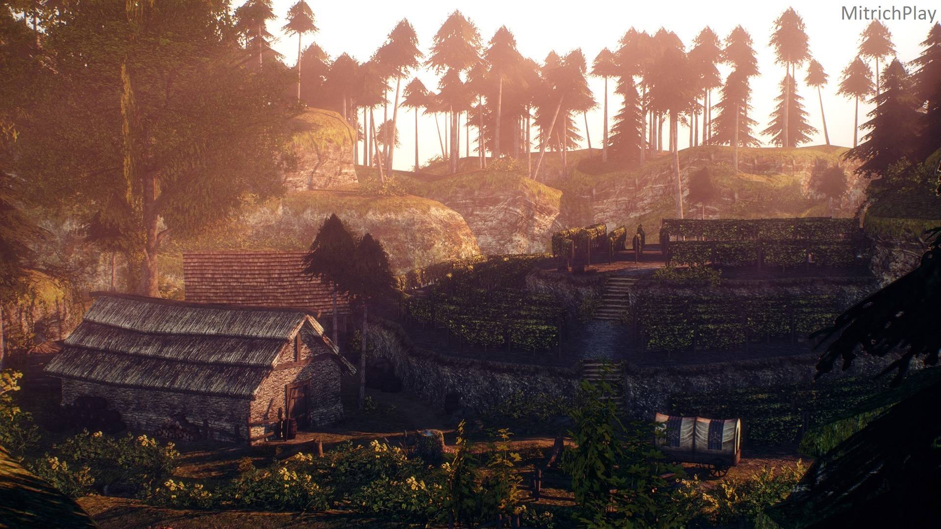 Виноградник Риты ⯈ The Chronicles Of Myrtana - Archolos #10 смотреть онлайн