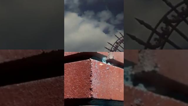 Интересные факты о Пушкине Ч.2 #shorts #поэзия #люди #интересныефакты #залипательныевидео #russia смотреть онлайн