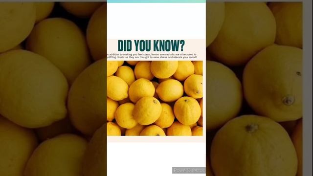 The Body Face Shop Lemon Face Wash Amazon Discount Price Offer. #shorts