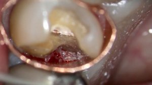 Dr. Carr's Ergonomics Lecture