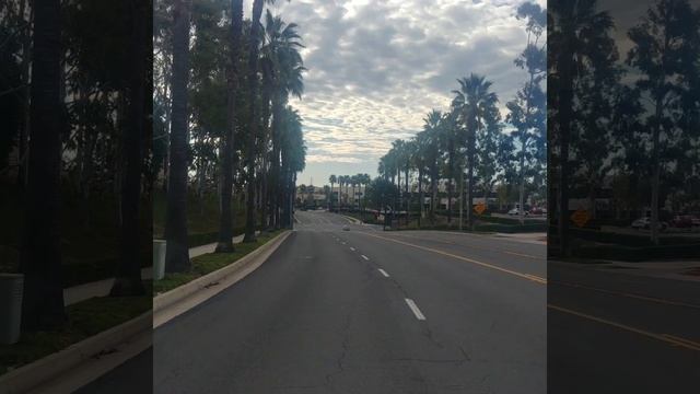 Nature Culture Art Exhibit Collage #26 by Arturo Paradiso & Raf [Ne'er] #2 смотреть онлайн