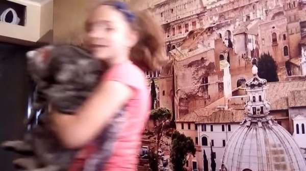 Песня мы с тобой не пара