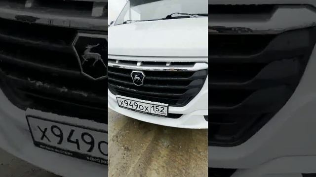 ОБЗОР ГАЗЕЛЬ НЕКТ NN - Снежная Королева! ПРОДАЕТСЯ! смотреть онлайн