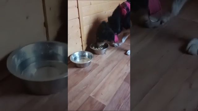 Новая передержка! Осваиваемся 🙏 смотреть онлайн