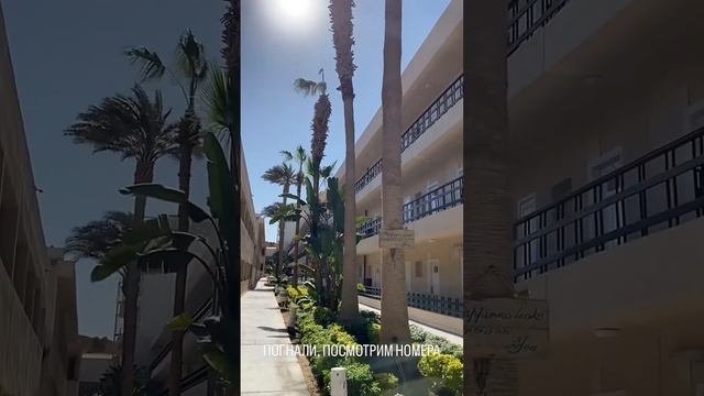MERAKI RESORT 4* ХУРГАДА ЕГИПЕТ ОБЗОР ОТЕЛЯ смотреть онлайн