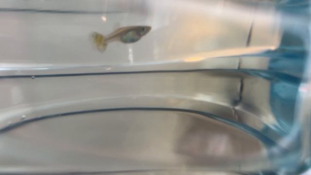 Выходные! Наш аквариум!