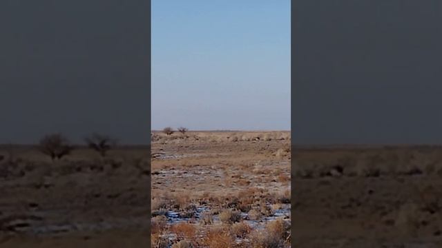 Шығанақ 16-17.12.2022 смотреть онлайн