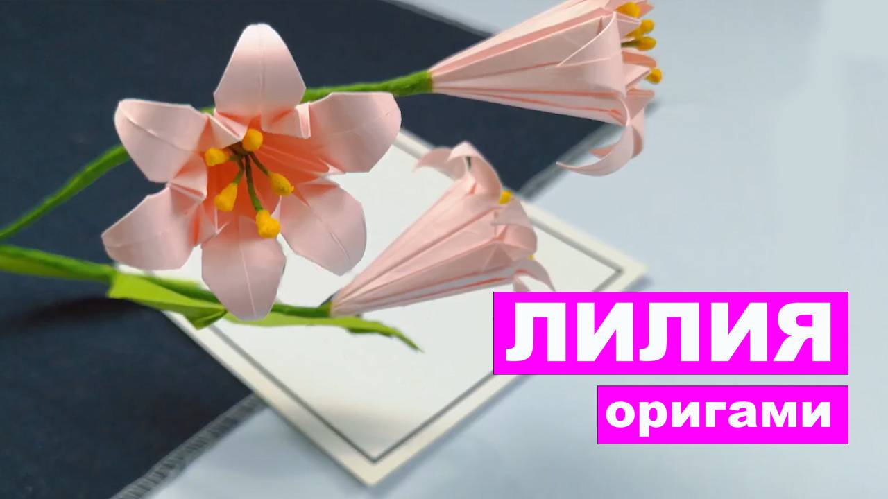 Оригами цветок лилии с шестью лепестками. Как сделать лилию из бумаги. Цветы оригами DIY смотреть онлайн