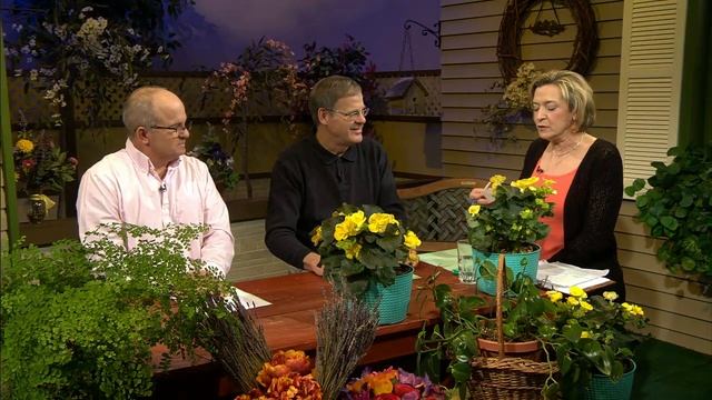 Great Gardening - Frilly Fronds: All About Ferns смотреть онлайн