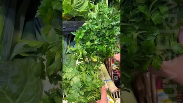 ¿CILANTRO Ó PEREJIL? Veamos si sabes diferenciarlos 😱#Shorts #foodie смотреть онлайн