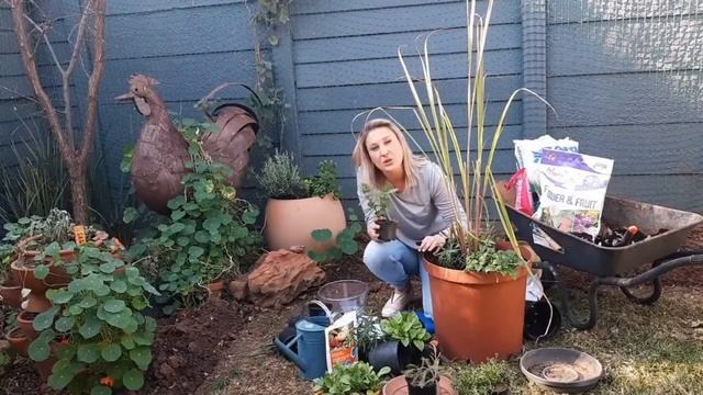 Flu Fighting Garden Pot | Using medicinal herbs and flowers смотреть онлайн