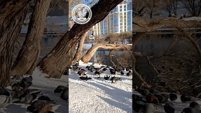 Время обеда на набережной Исети смотреть онлайн