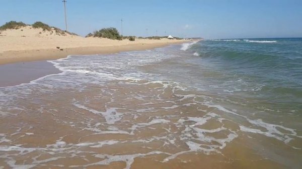 Как ты там,сын ....