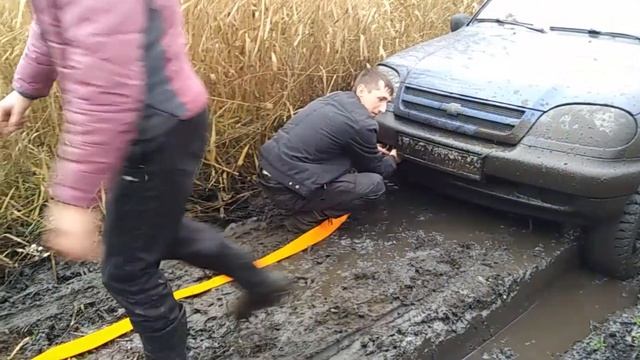 Поездка моховички