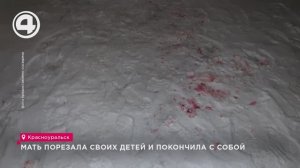 Мать порезала своих детей и покончила с собой