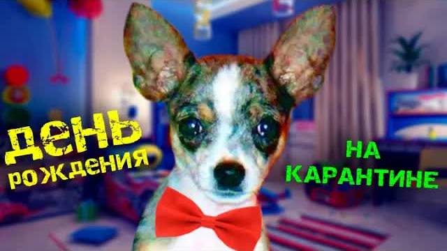 МОЕ ДЕТСТВО ГЛАЗАМИ СОБАКИ И КОШКИ! ДЕНЬ РОЖДЕНИЯ НА КАРАНТИНЕ смотреть онлайн