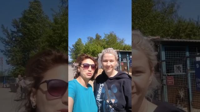 Приезжайте к хвостикам! Они всех ждут на прогулки. #собакаизприюта смотреть онлайн