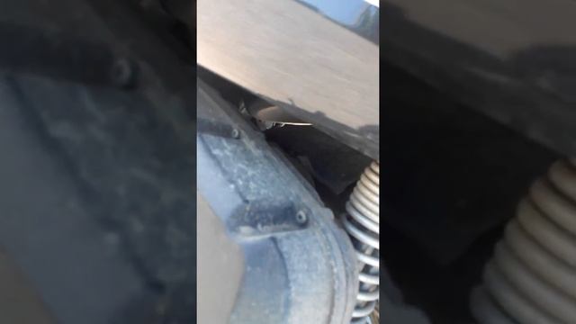 VID 20160621 085825 загудел редуктор скутера SYM CITY COM 300I смотреть онлайн