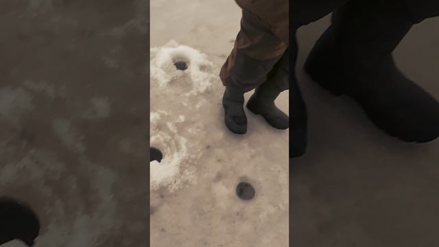 Зимой хороший окунь любит именно это смотреть онлайн