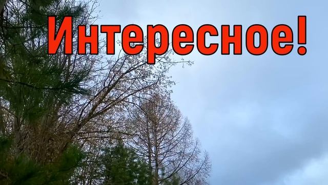 10 апреля Илларионов День. Что нельзя делать 10 апреля праздник. Народные традиции и приметы смотреть онлайн