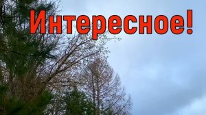 10 апреля Илларионов День. Что нельзя делать 10 апреля праздник. Народные традиции и приметы