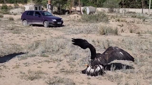 24 июня 2023 г. смотреть онлайн