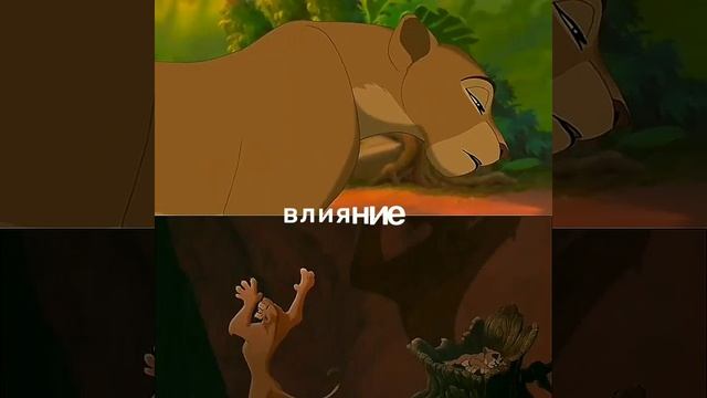 Нала против Зиры смотреть онлайн