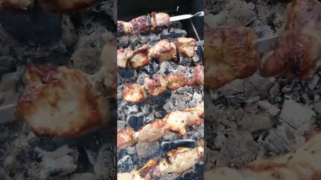 Шашлык в майские праздники🍢     #шашлык