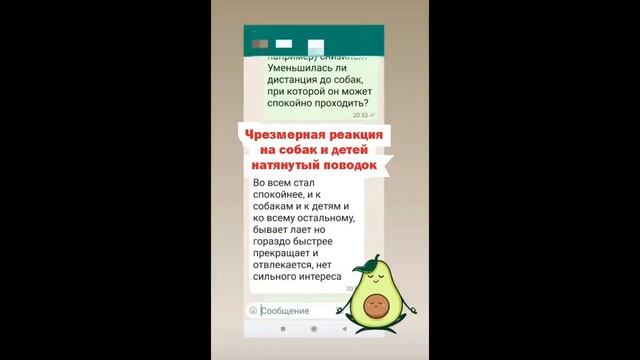 Шнапцева Татьяна. Отзывы смотреть онлайн