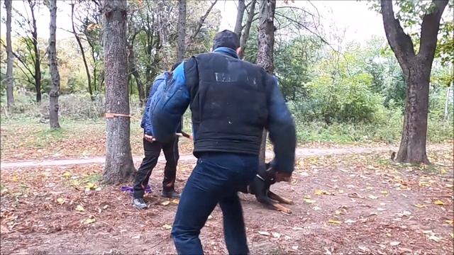 Дрессировка собак. СТРАЖ смотреть онлайн