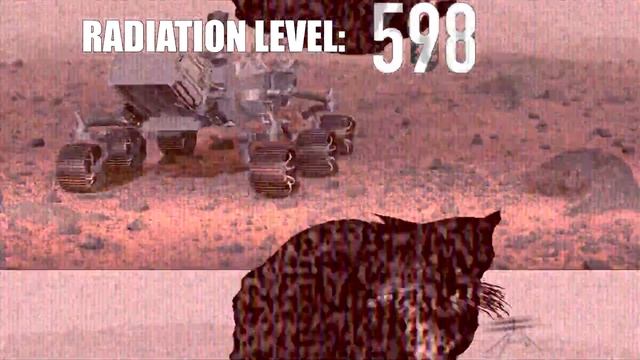 Maxwell The Cat Dancing. (v8)