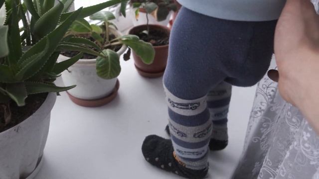 ДОМ В ДЕРЕВНЕ. Маринуем капусту и делаем вкусный салат. 11.11.2020 смотреть онлайн